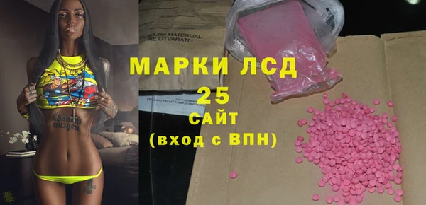 прущий лед Алзамай