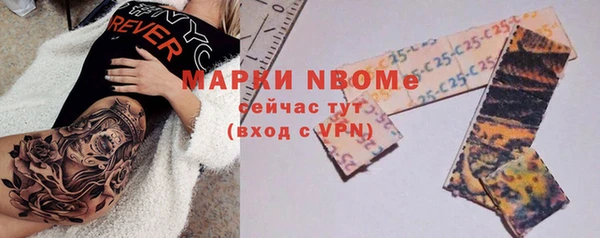прущий лед Алзамай