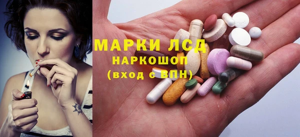 прущий лед Алзамай