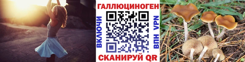 Псилоцибиновые грибы мухоморы Ядрин